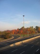 dvp in the fall