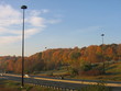 dvp