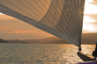sailing sunset