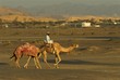going to the camel race