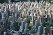 tokyo cemetery tokyo cemetery