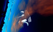 spaceman 25