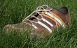 chaussure chaussure