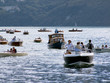 defile de bateaux defile de bateaux