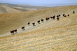 région de meknes région de meknes