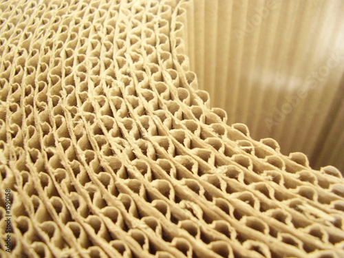 carton