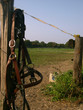 campagne