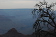 grand canyon grand canyon