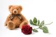 bear and rose