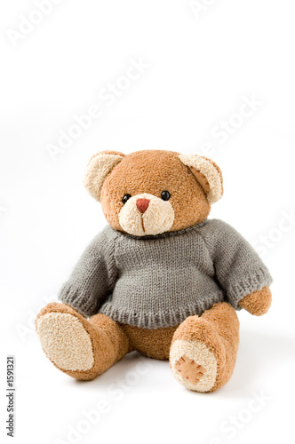 Photo: bear bear