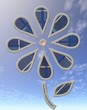 fleur solaire