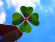 lucky 2 lucky 2