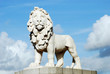 Photo: lion statue lion statue