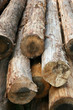 log