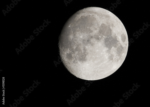 Photo: moon moon