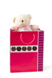 bear in the gift packet