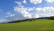 verte prairie