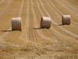 3 botted de paille circulaire au soleil