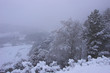 winter storm winter storm