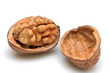 close-up of a walnut close-up of a walnut