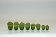 acorn