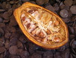 Foto: demi-cabosse cacao & pastilles chocolat noir demi-cabosse cacao & pastilles chocolat noir