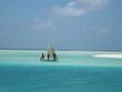 tropical island, paradise island