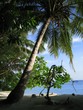tropical island, paradise island