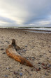 empty beach in winter