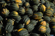 pumpkins