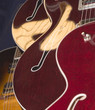 abstract guitar bodies