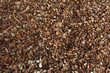 pine´s bark texture