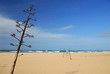 actionbeach 5