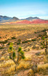 red rock canyon, nevada red rock canyon, nevada