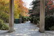 autumn colors