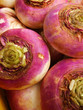 ripe turnip vegetable close-up 2