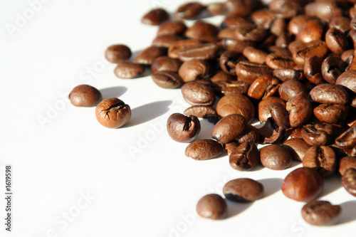 espressobohnen im licht