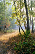 russian autumn