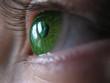 green lens 2 green lens 2