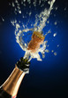 champagne bottle ready for celebration