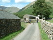 sheep round up