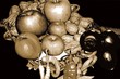 naturmort-99