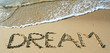 dream