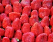 erdbeeren in paris