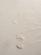 00_traces