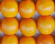 orangen in paris