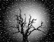winterscape