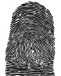 finger print - very detailed
