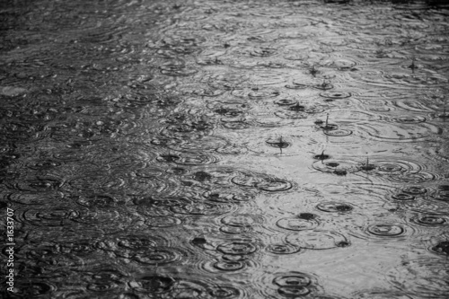 Foto: summer rain summer rain