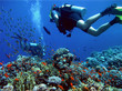 diving